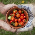 老司机永久免费视频网站 6y5lxh