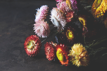 人人视频官网下载：轻松获取最新版本，畅享精彩视频体验！